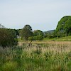 Viewed from Rusland Moss